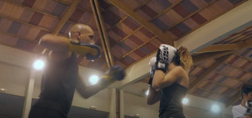 Boxe Française